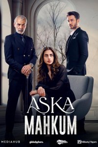 Заключенный любви