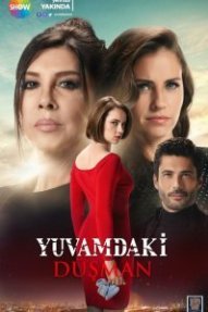 Враг в моём доме